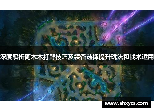 深度解析阿木木打野技巧及装备选择提升玩法和战术运用